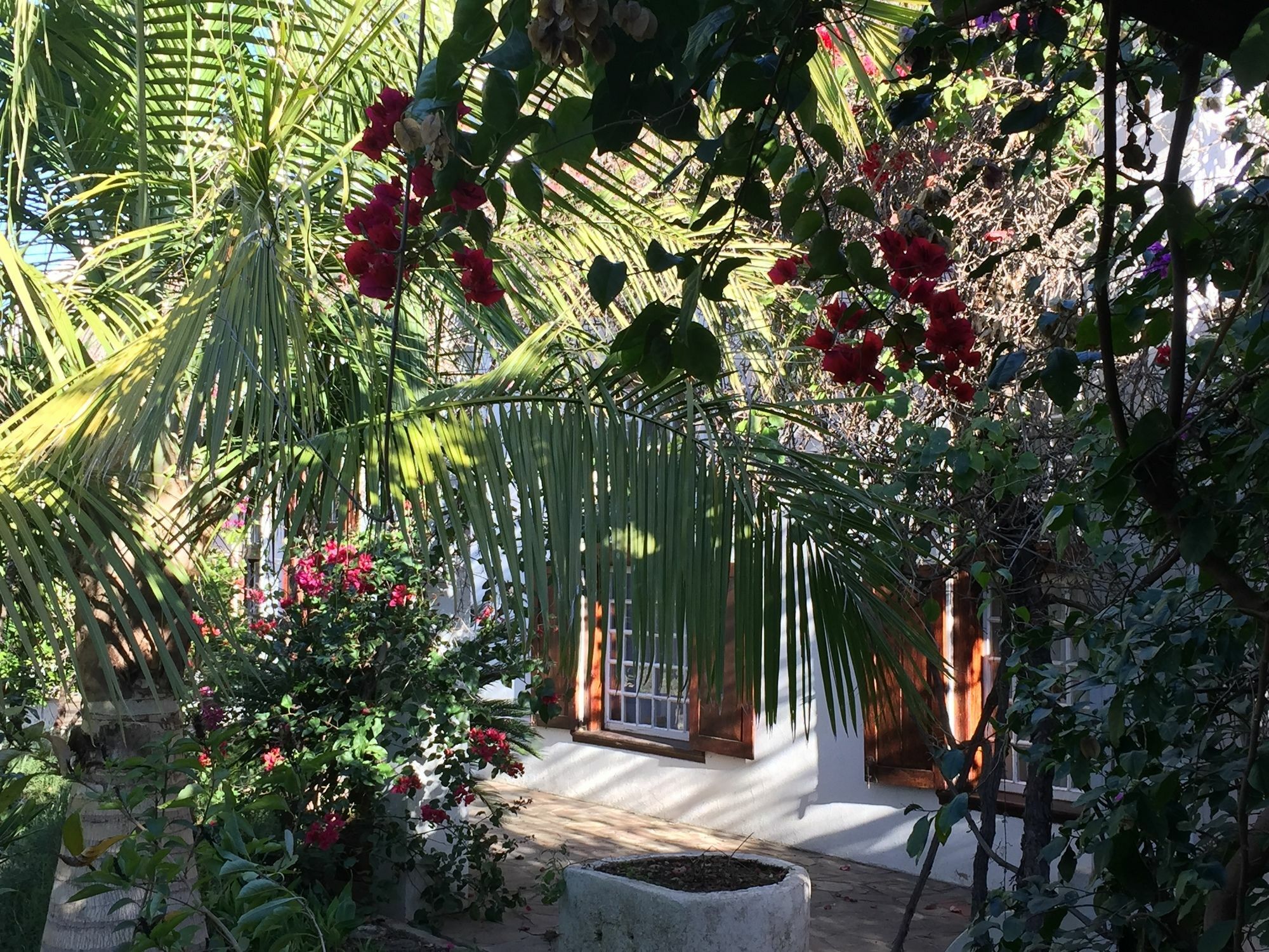 Wittedrift Manor House Hotel Тулбаг Екстериор снимка