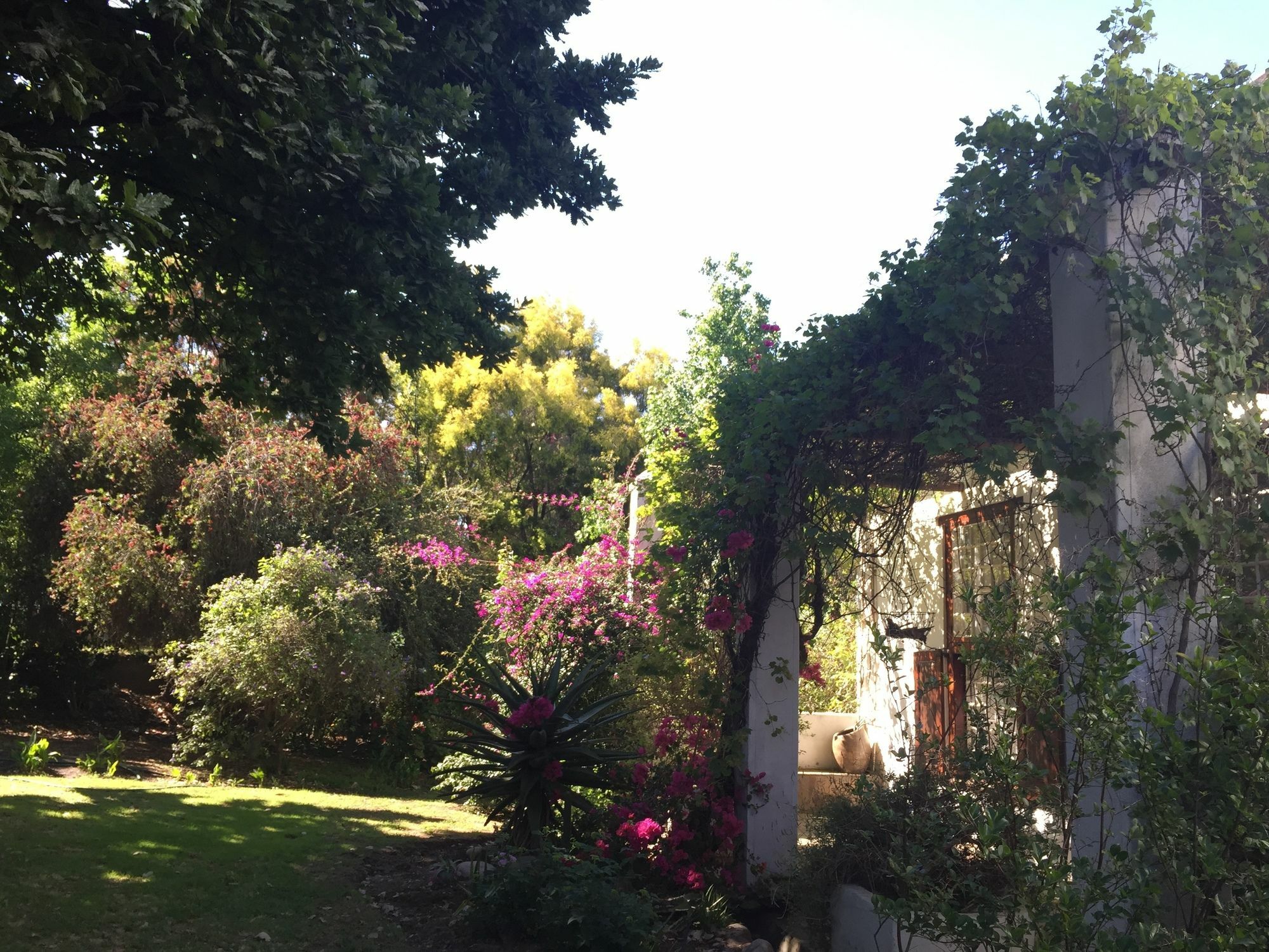 Wittedrift Manor House Hotel Тулбаг Екстериор снимка