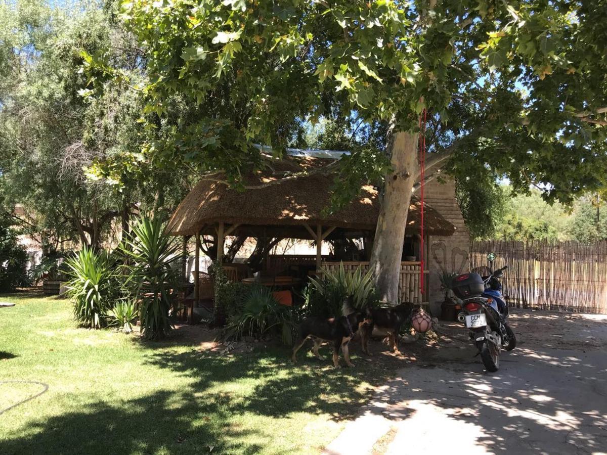 Wittedrift Manor House Hotel Тулбаг Стая снимка